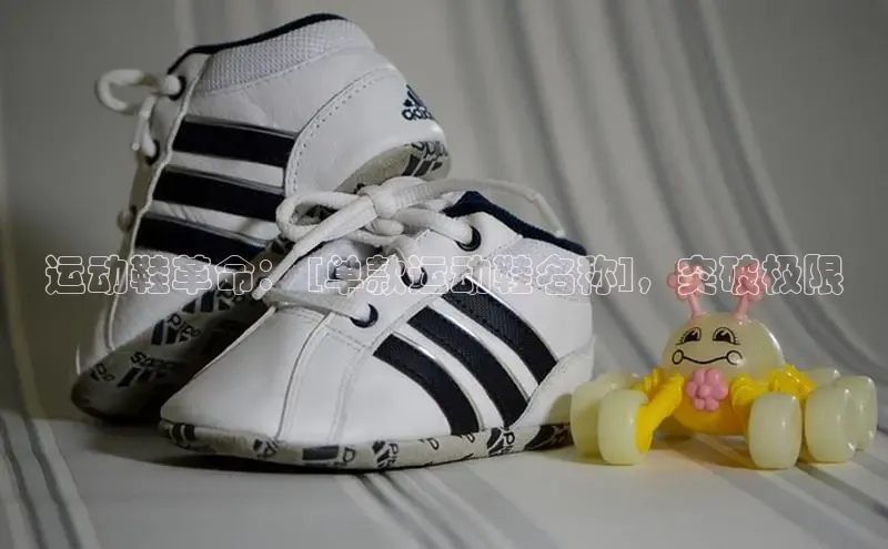 Bsport网页版百度数据开放平台运动鞋革命： [单款运动鞋名称]，突破极限