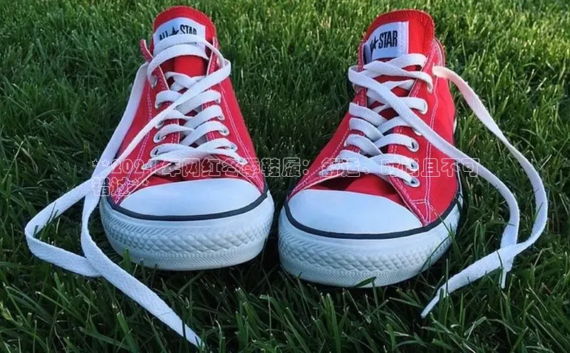 B—sports旧版下载慧博云通**2024 年网红冬季鞋履：舒适、时尚且不可
错过**