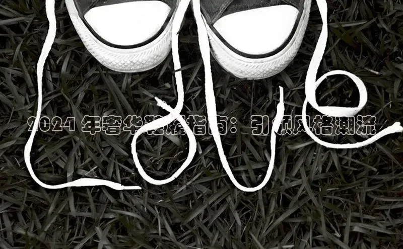 bsports网页版登录官方入口雷柏科技2024 年奢华鞋履指南：引领风格潮流