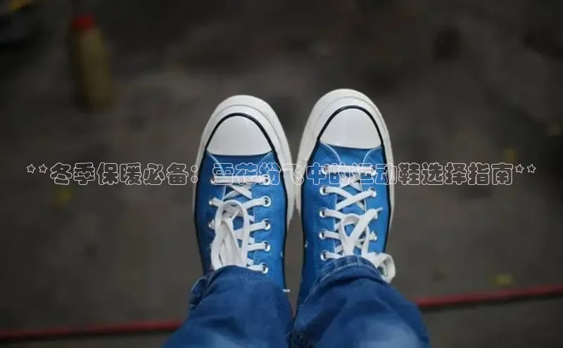 bsports网页版百度游戏**冬季保暖必备：雪花纷飞中的运动鞋选择指南**