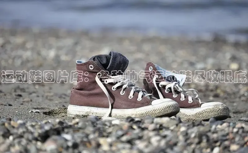 B—sports必一百度网盘运动鞋图片库：各种帅气运动鞋尽收眼底