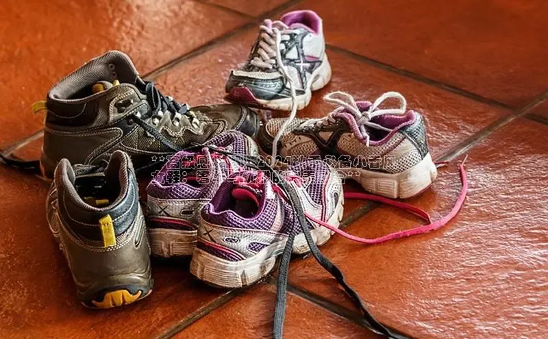 必一运动官网登录入口小红书**高级感爆棚！2024秋季必备小香风
女鞋：奢华与优雅的完美融合**