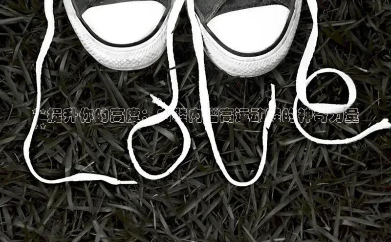 Bsports网页版登录入口彩讯股份**提升你的高度：白鞋内增高运动鞋的神奇力量
**