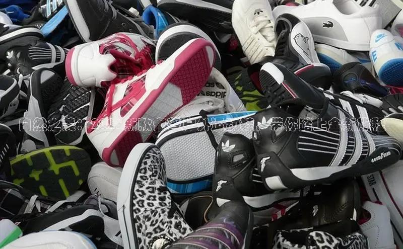 自然之美：2025新款吉普户外运动鞋，带你踏上全新旅程