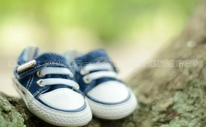 未来趋势：2025年展望——重塑体能训练的创新运动鞋设计
