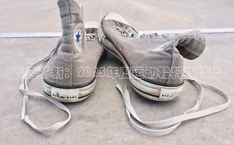 飞速革新：2025年度运动鞋科技趋势