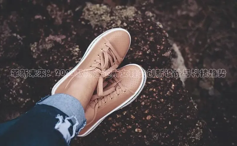 Bsports网页版登录入口