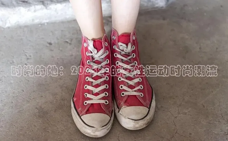 bsports网页版登录官方入口