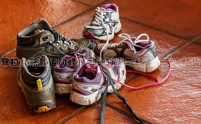 必一b体育app网页版登录